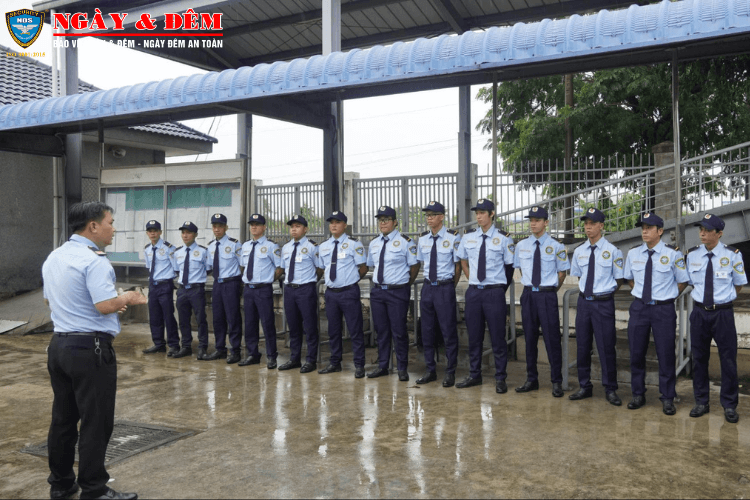 mẫu phương án bảo vệ trường học